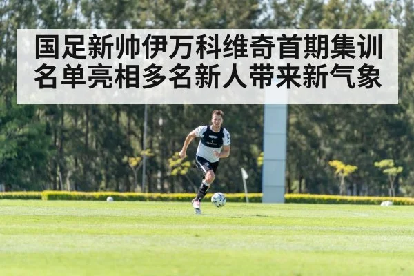 国足新帅伊万科维奇首期集训名单亮相多名新人带来新气象